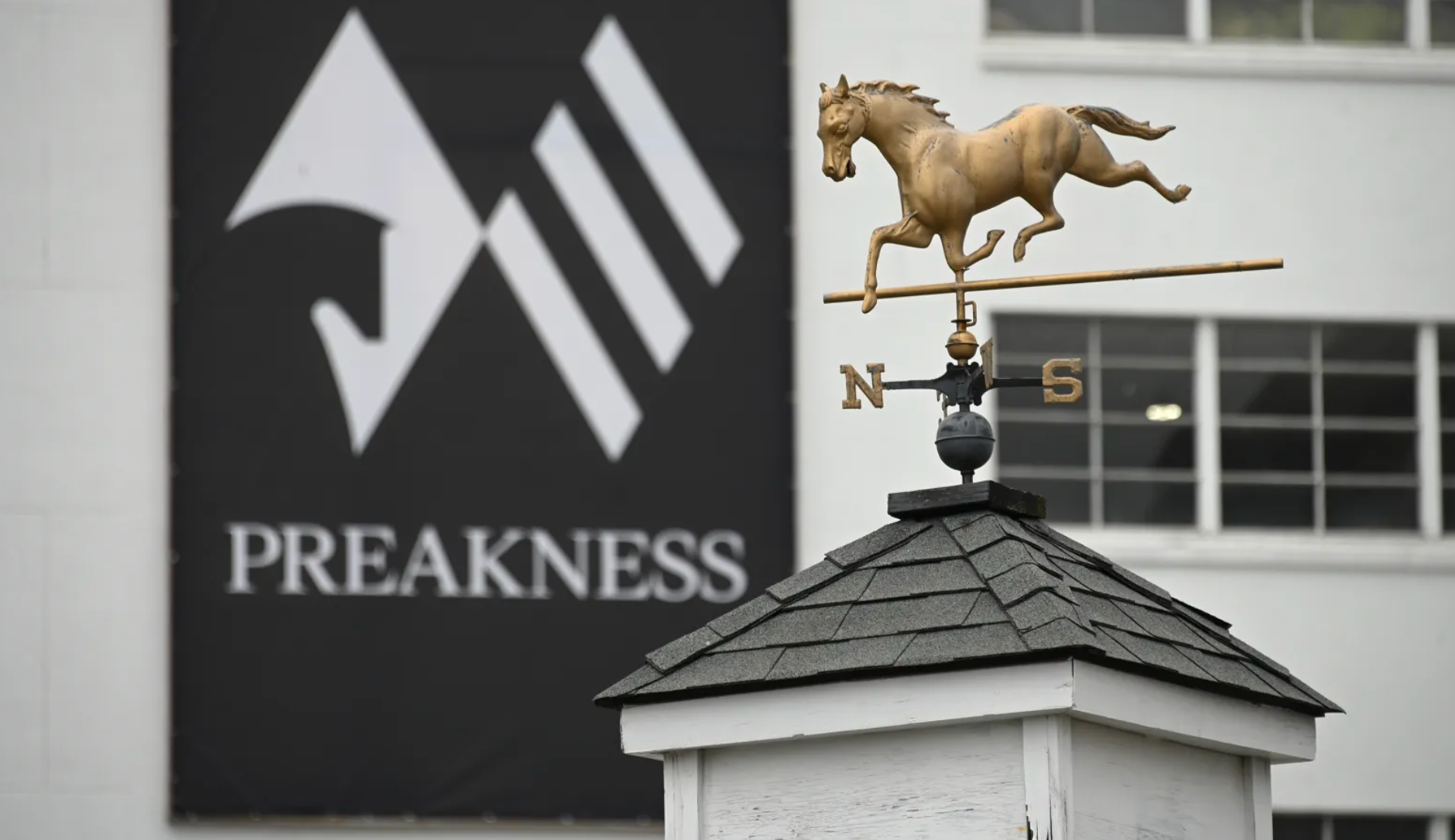 Royal Poppy Teams with Dettori For Skipat Stakes On Preakness Day!