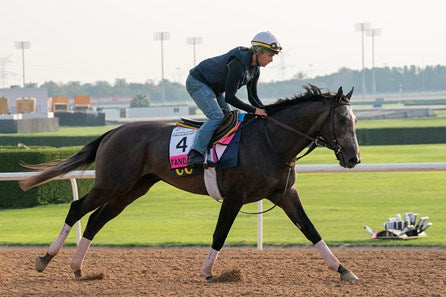 Pandagate Is 4/5 Favorite In $250K Albany Stakes