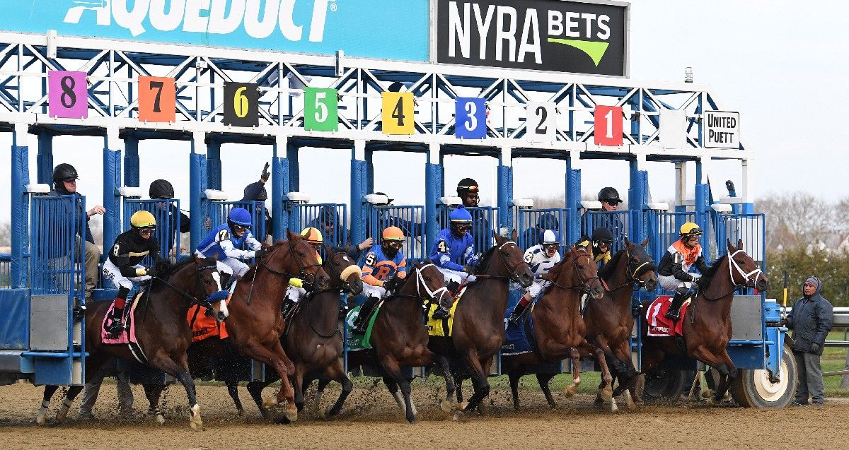 Constitutionlawyer Points To Queens County Stakes