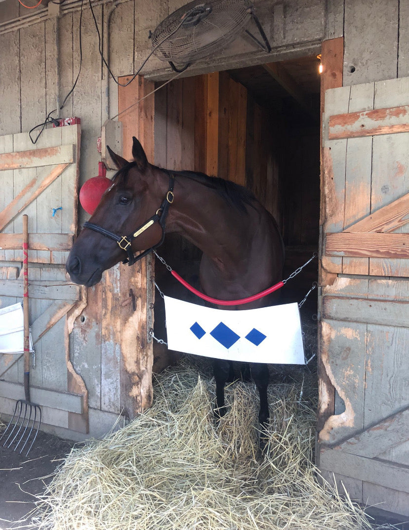 Adelphi Claims Binkster