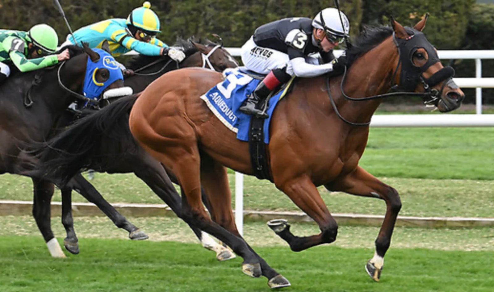 Gem Mint Ten Takes On Stakes Company At The Spa!