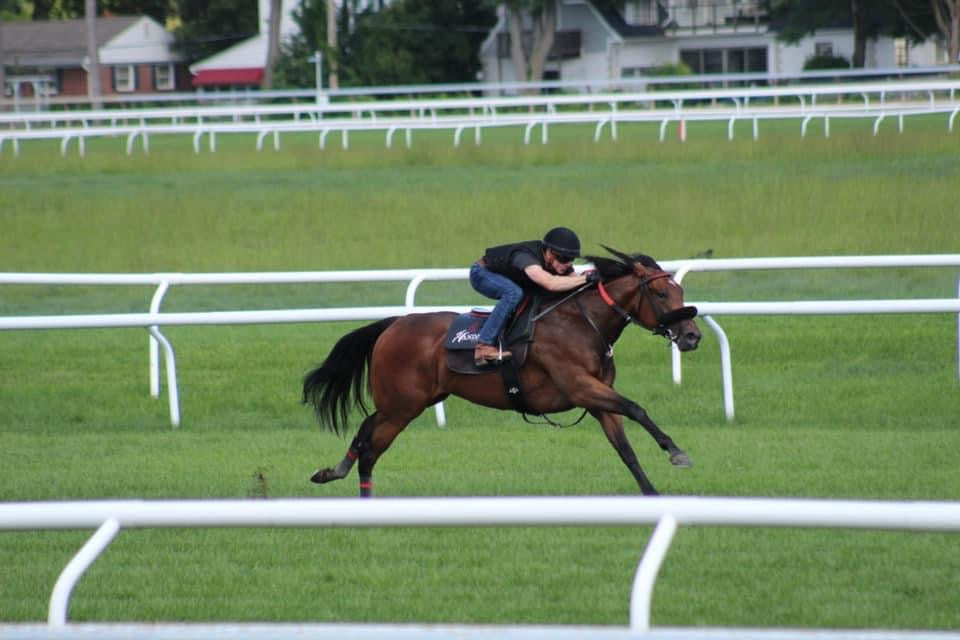 Mispelled Mooon Finishes 2nd In 2 Year Old MSW @ The Meadowlands