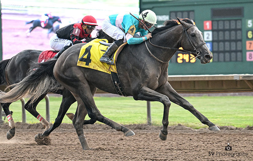 Pandagate Wins The New York Derby!