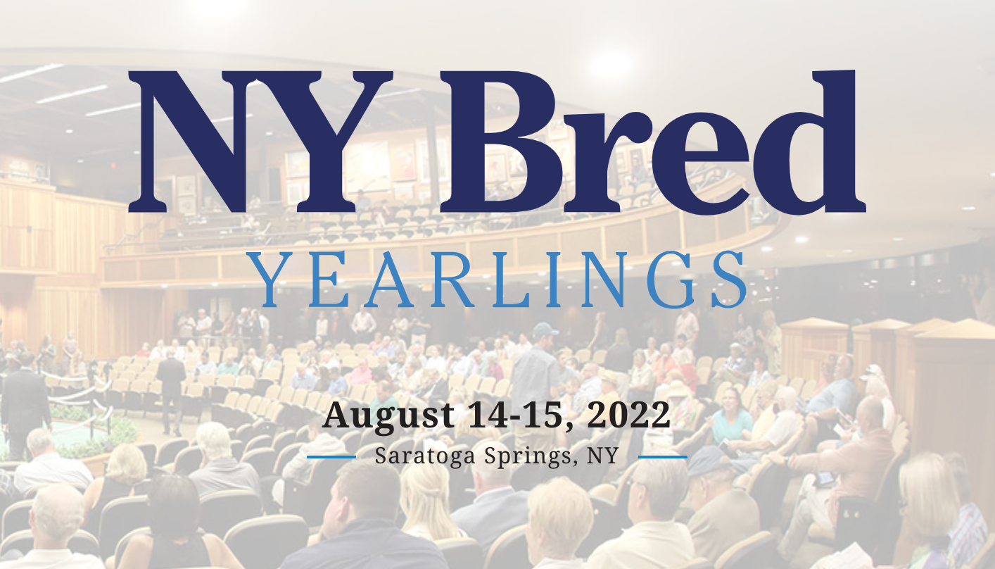 Adelphi Active At The Fasig Tipton Saratoga NYB Sale