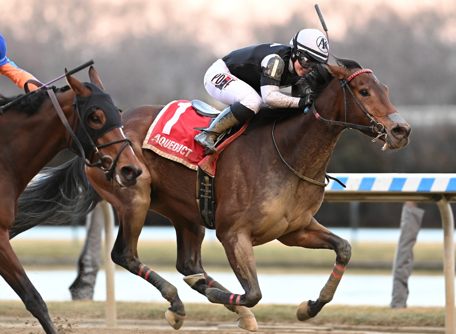 Funny How Looks To Win Five In A Row In Sunday's Broadway Stakes