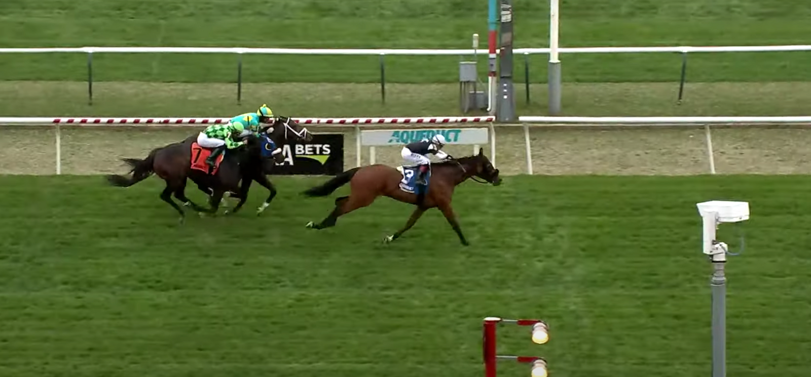 Gem Mint Ten Takes To Turf & Breaks His Maiden