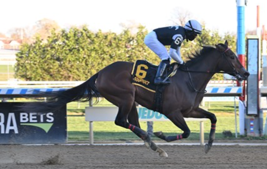 Funny How Entered In The G3 Vagrancy Stakes