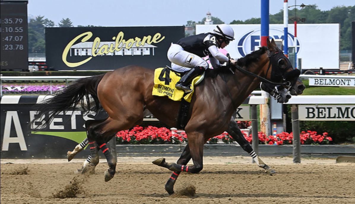 Daddy Knows Wins 2nd Straight NYB 2x Allowance At Belmont!