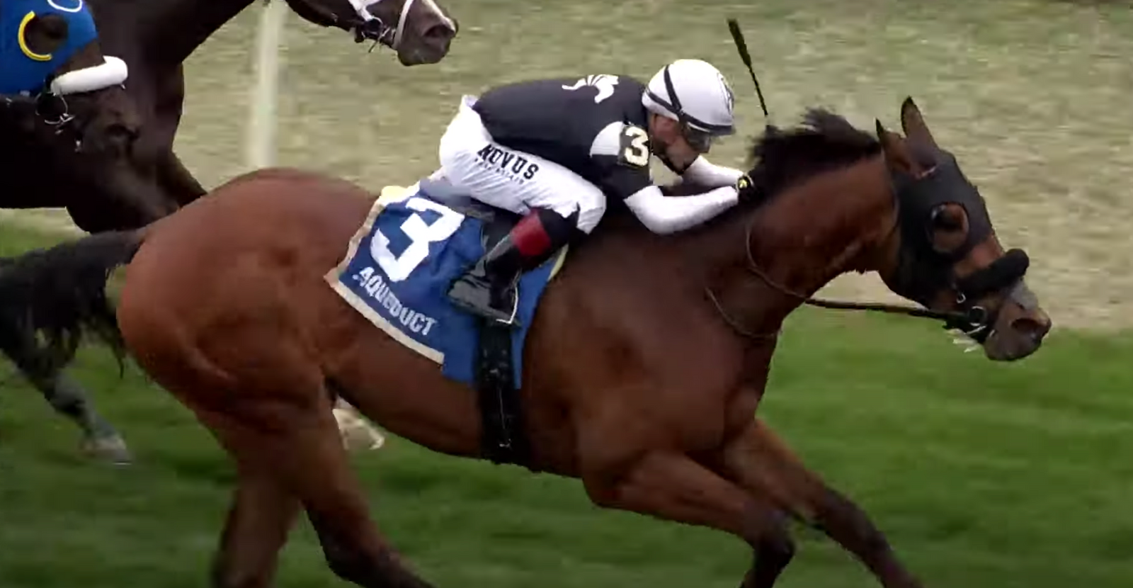 Gem Mint Ten Enters First Stake!