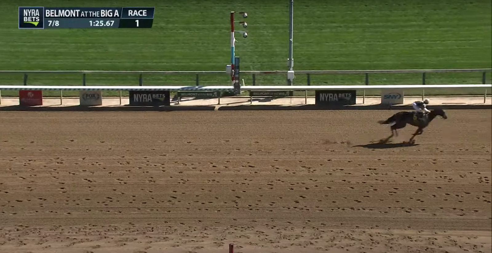 Pandagate Wins By 9 Lengths In Career Debut!