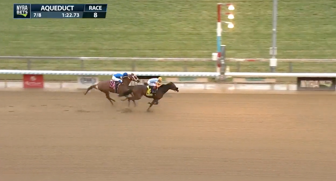 Constitutionlawyer Looks For 3rd Win In A Row In The Queens County Stakes