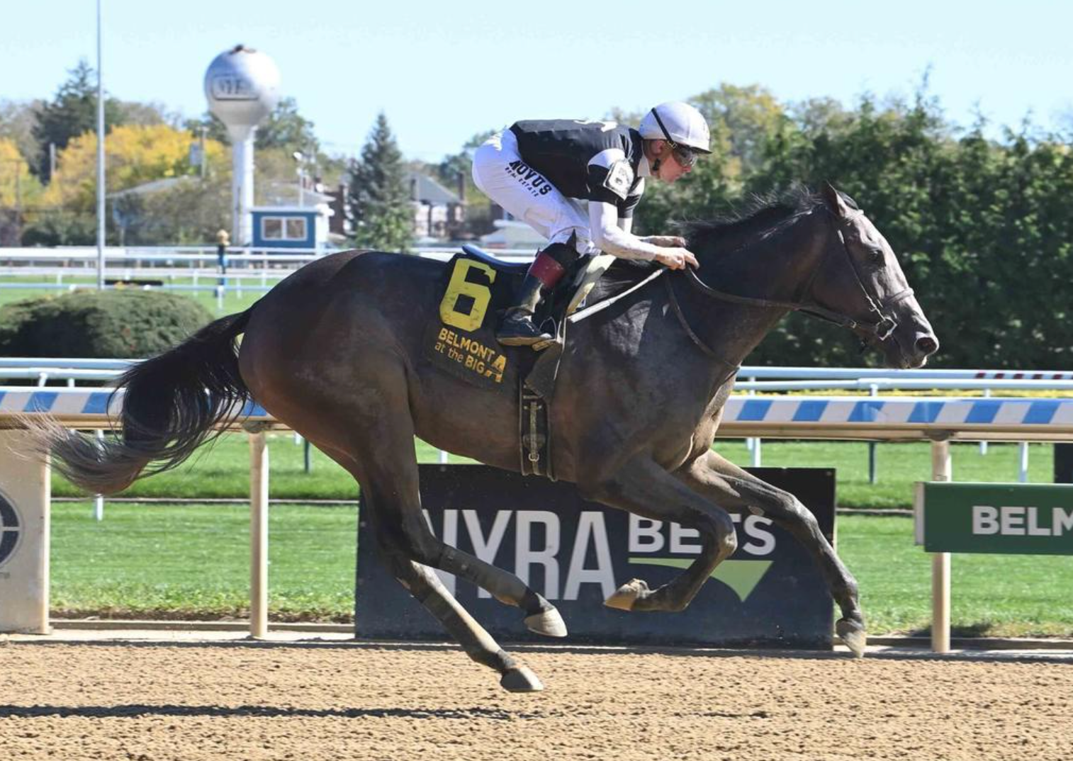 Pandagate Eyes a Stakes Score in Gander