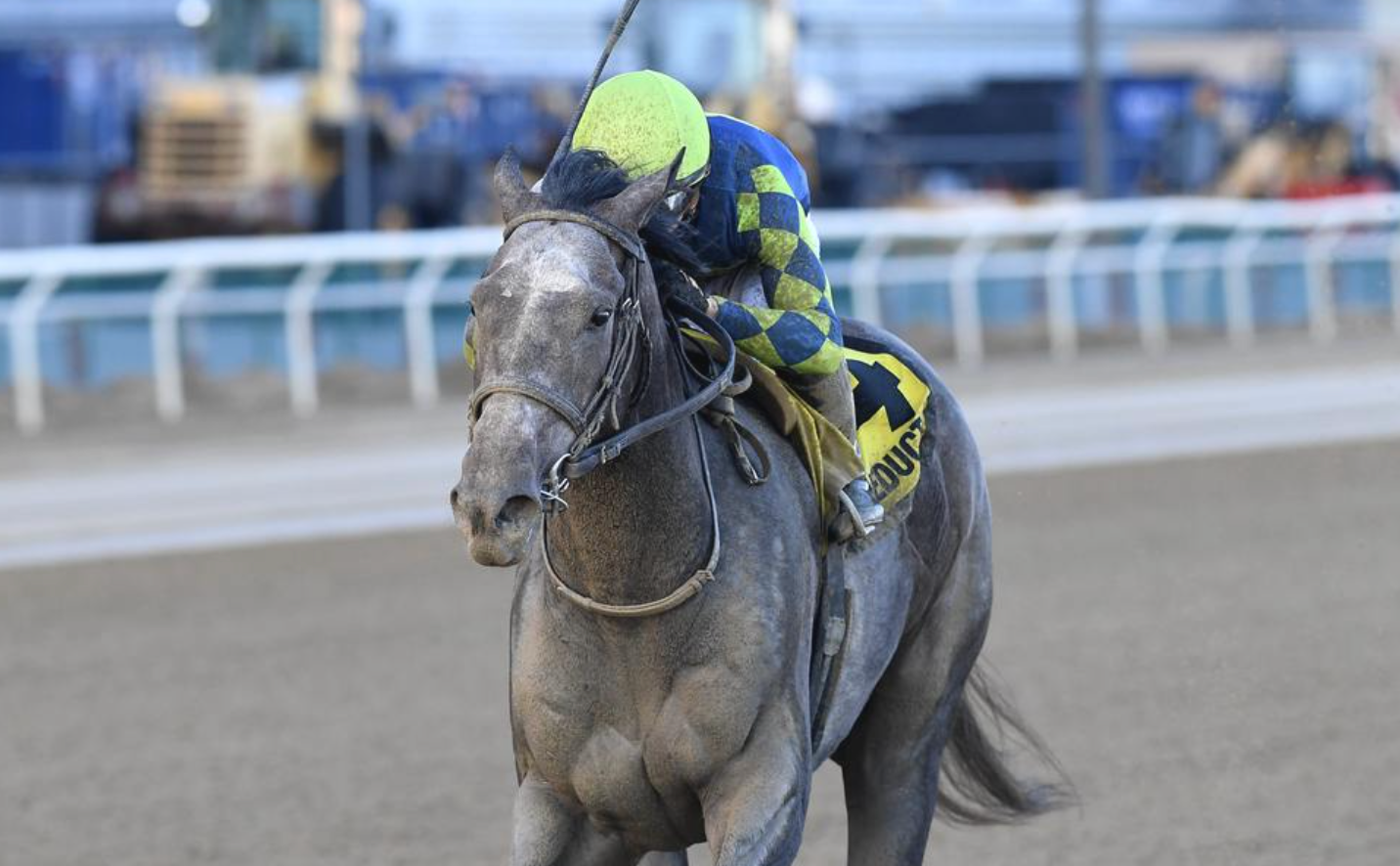 Pandagate Targets Triple Crown Prep Stakes
