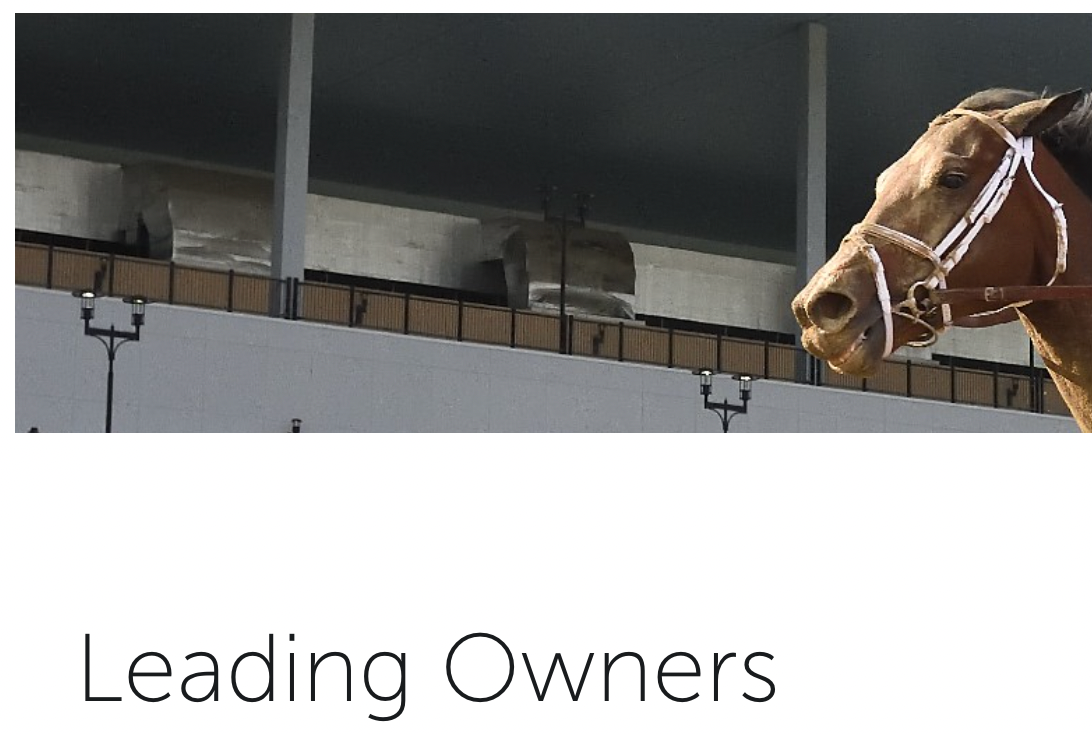 Adelphi Wraps Succesful Aqueduct Fall Meet