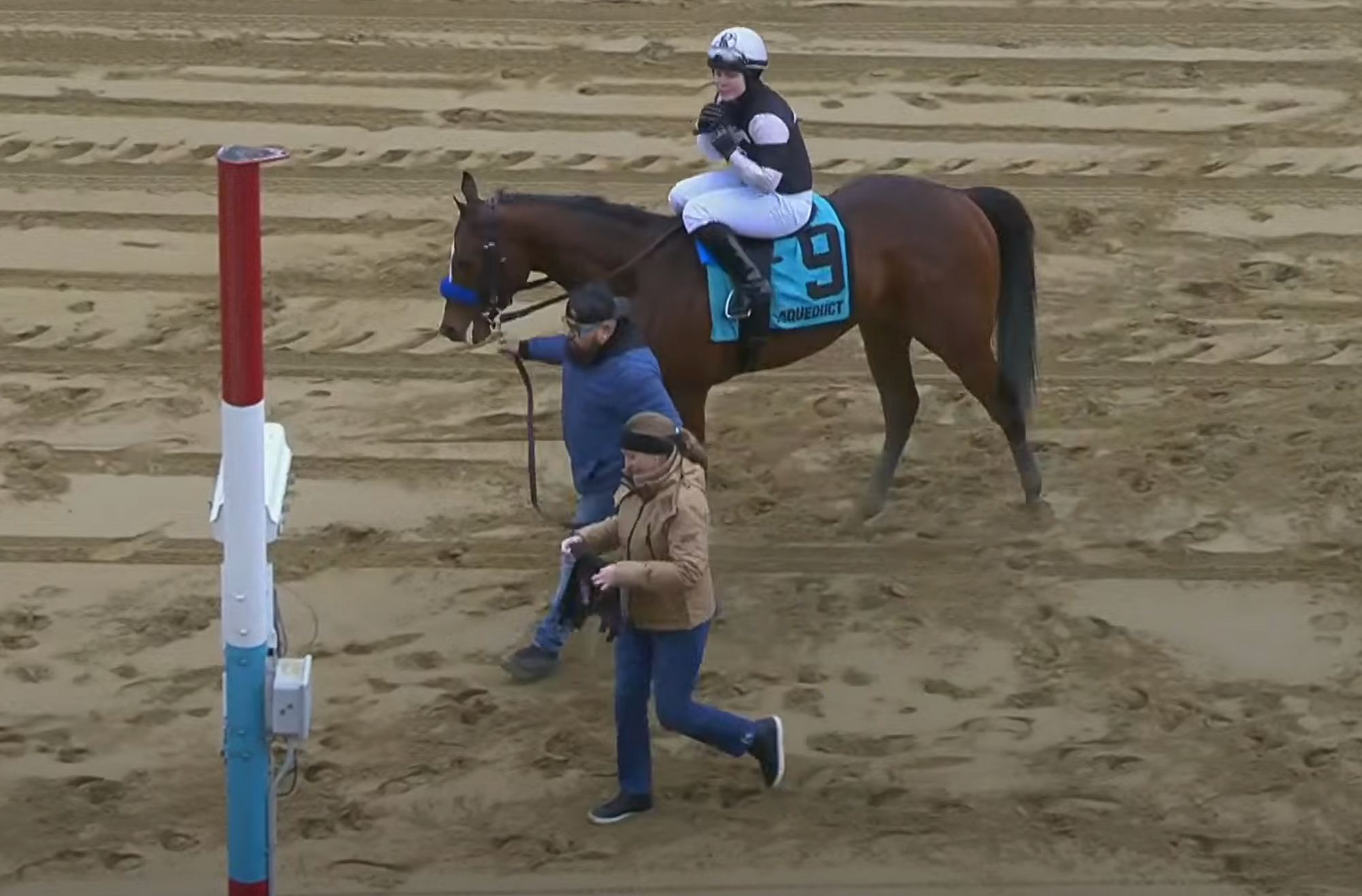 Skytown Wins NYB MSW At Aqueduct!