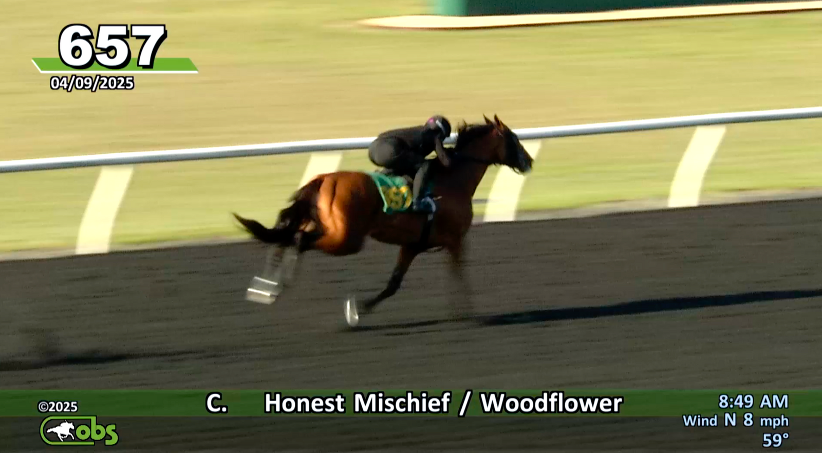 Adelphi Picks Up FOUR At OBS April Sale