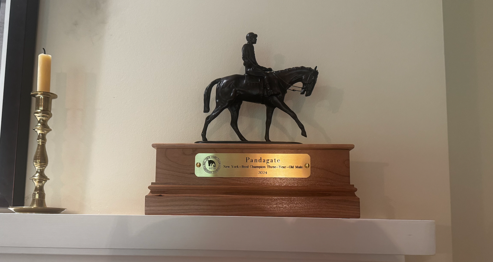 Pandagate Named Champion New York Bred 3-Year-Old!