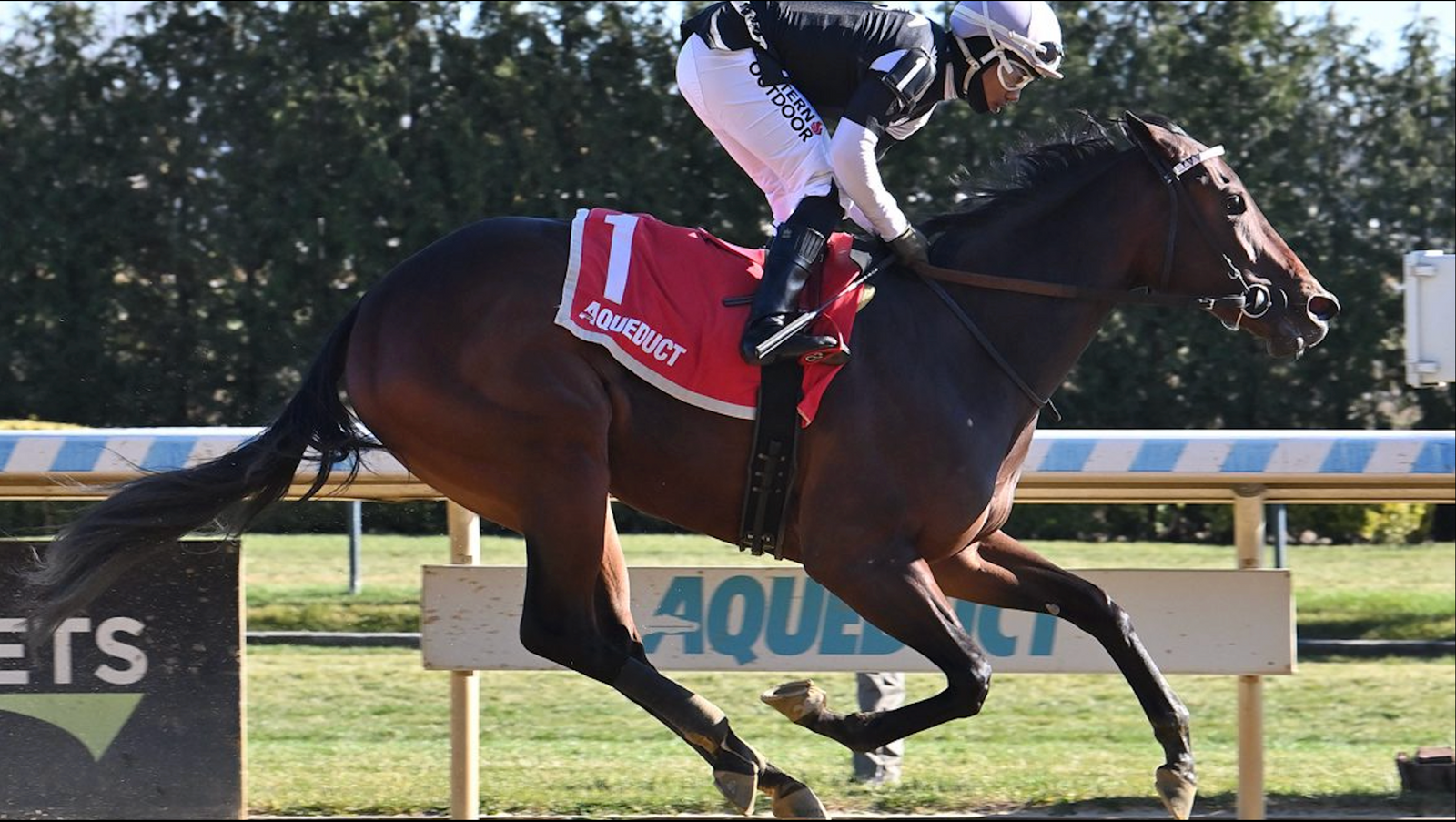 For The Ladies Breaks Her Maiden By 7+ Lengths!