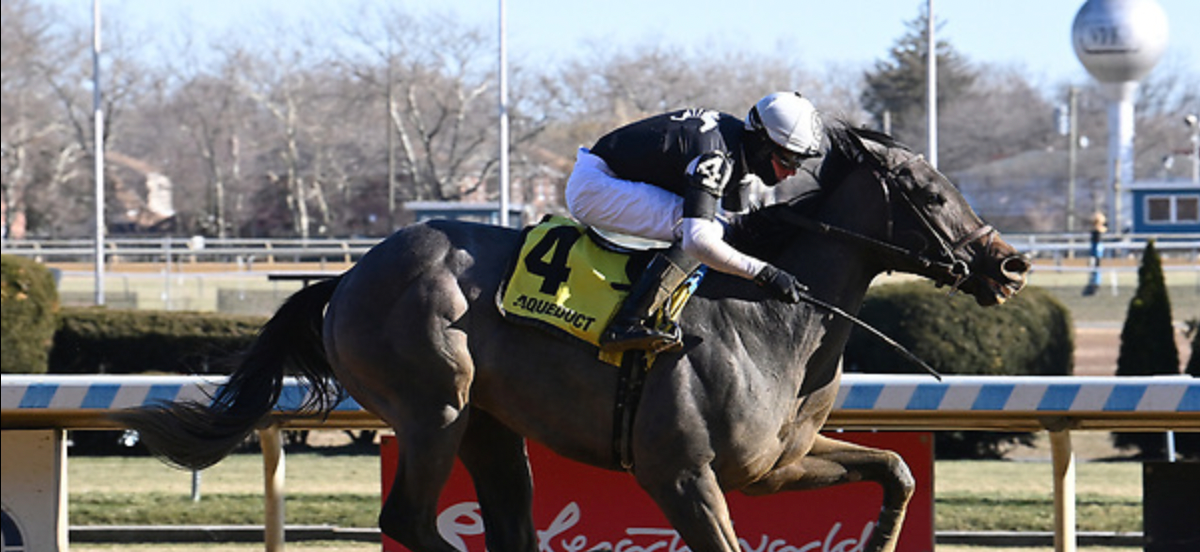 Never Say Uncle Breaks His Maiden By 9+ Lengths!