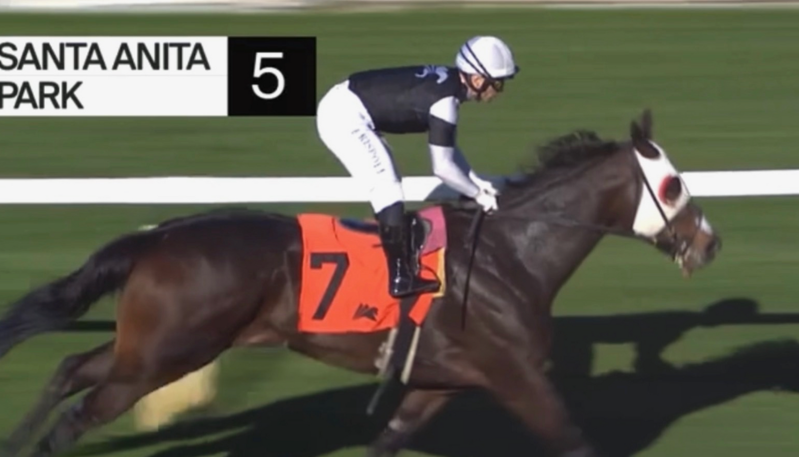 Gratefully Wins Again (Now 4 for 4)!