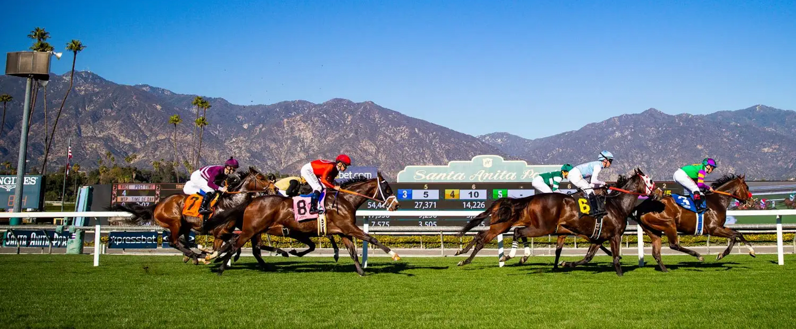 Gratefully Takes Perfect 4 For 4 Record Into Wishing Well Stakes!