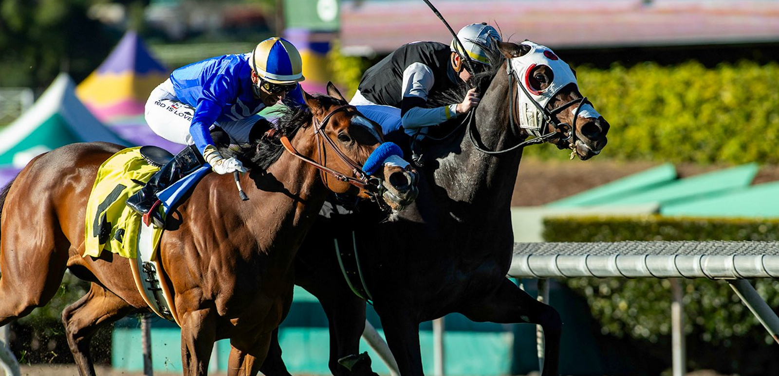 TDN Five Fleet Fillies Features TWO For Adelphi (Week, Feb. 16-22)