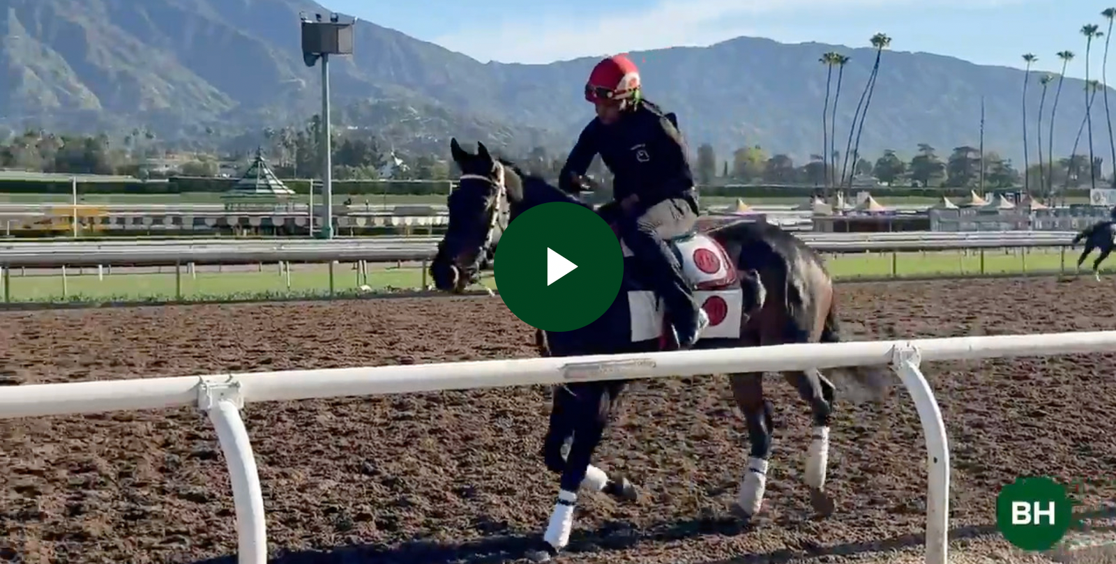 Bloodhorse: Legette Confident in Undefeated Gratefully's Ability