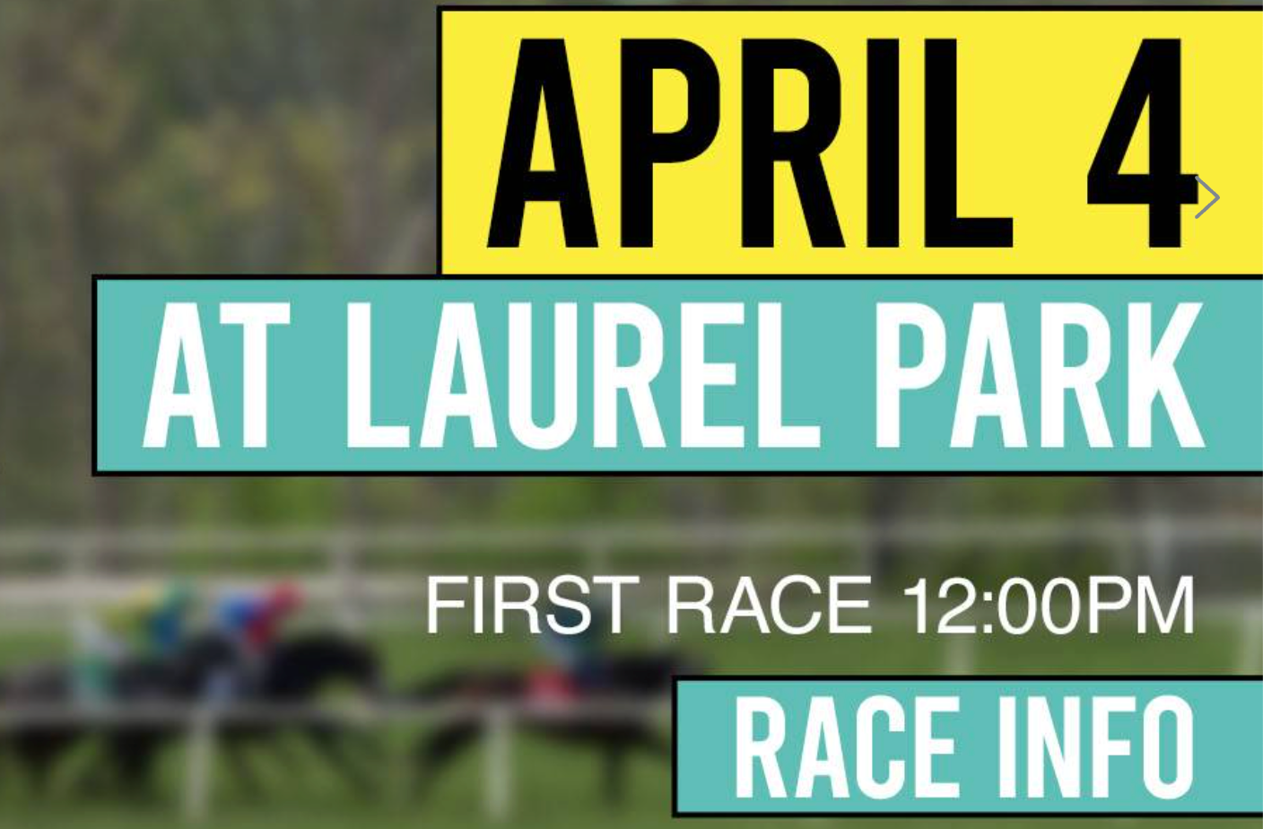 Twirling Beauty steps up in Primonetta