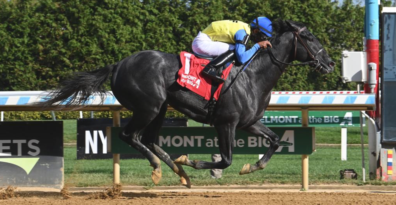 Time To Roll Entered In Bay Shore Stakes!