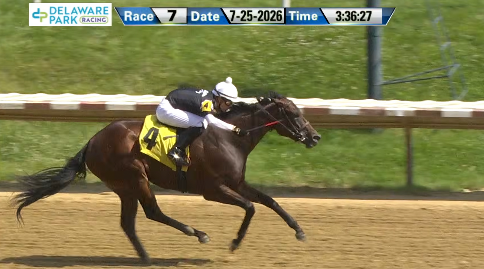 For The Ladies Wins At Delaware Park!