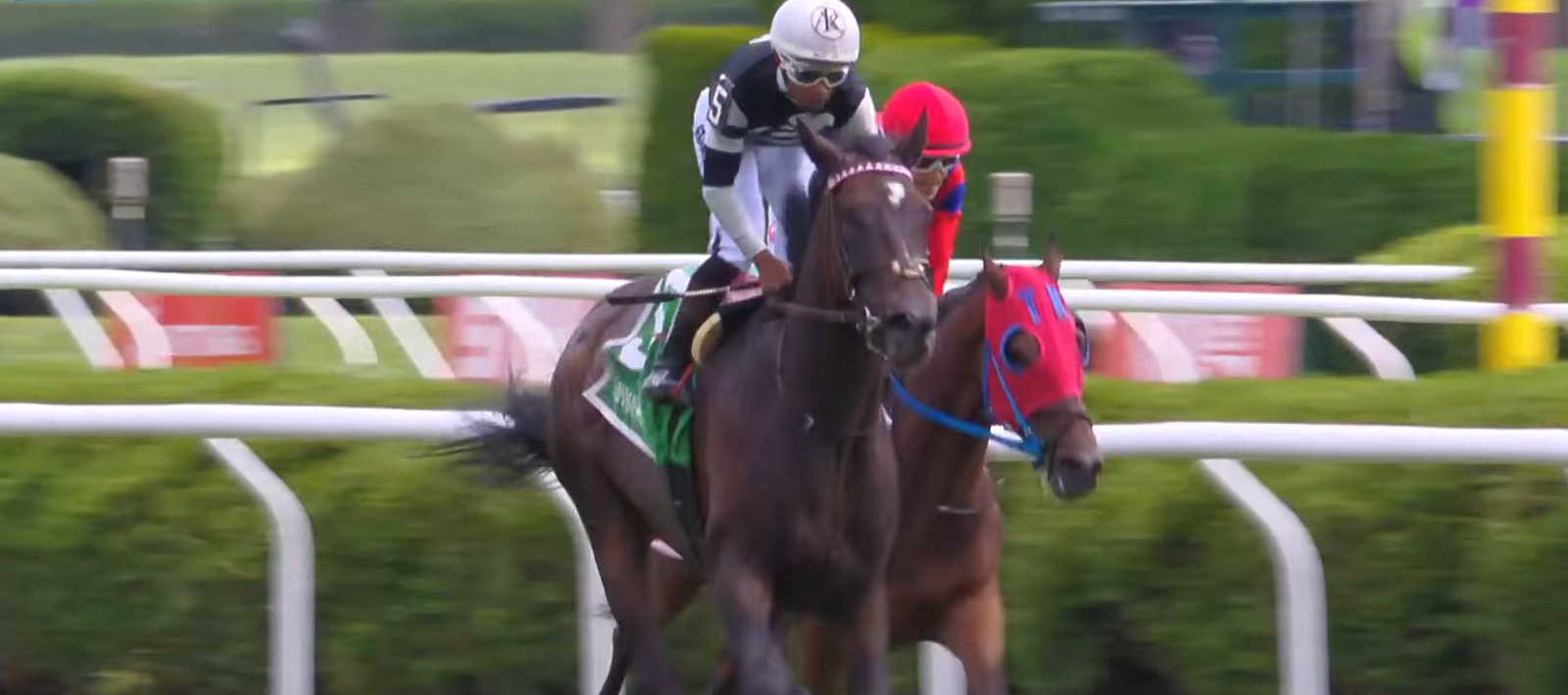 Conman Wins At Saratoga!