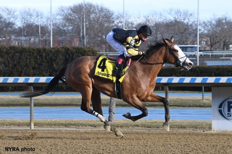 Ziaerati Is Morning Line Favorite In Busher (Oaks Points Race)