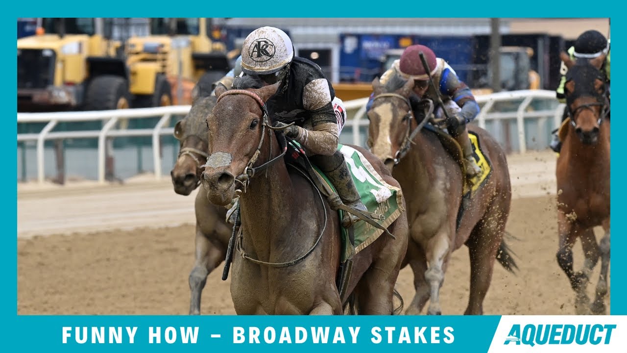 Funny How Is A Finalist For New York Bred Champion Female Sprinter For 2023!