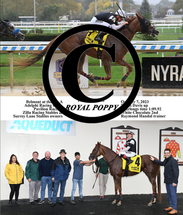 Royal Poppy 10-7-23 - Adelphi Racing Club