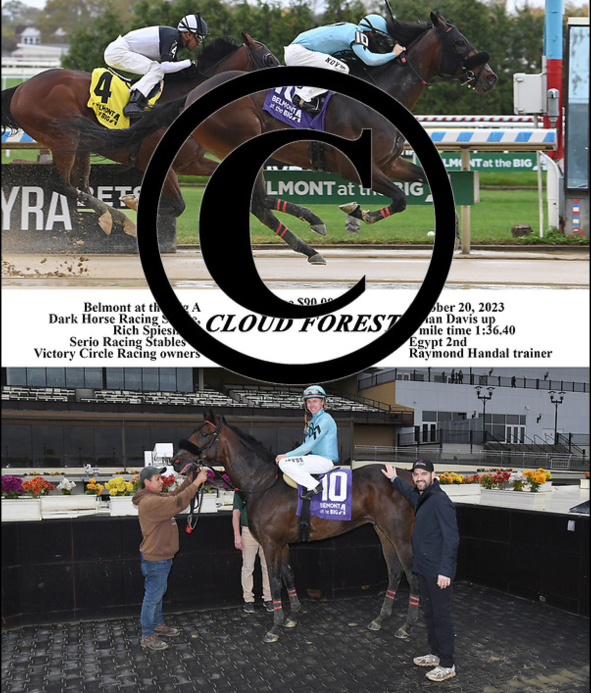 Cloud Forest 10-20-23