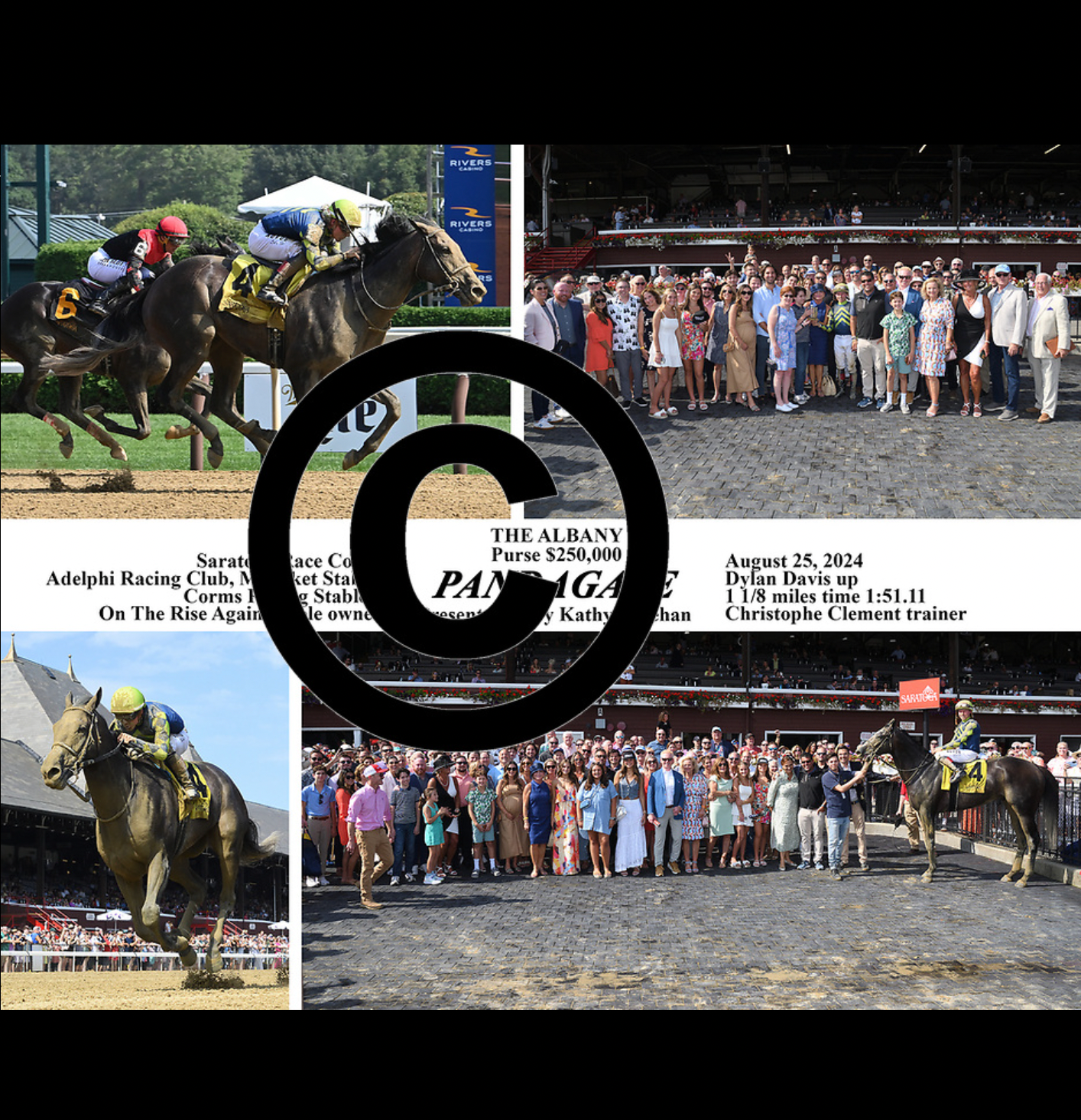 Pandagate ALBANY STAKES 8-25-24