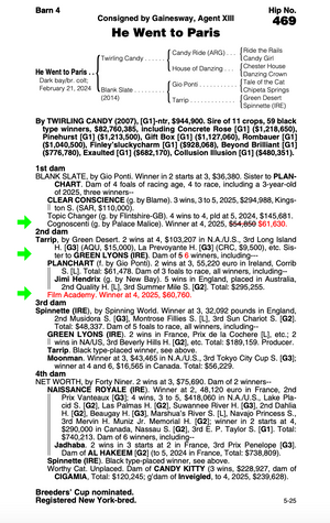TWIRLING CANDY-BLANK SLATE - YEARLING (NYB)