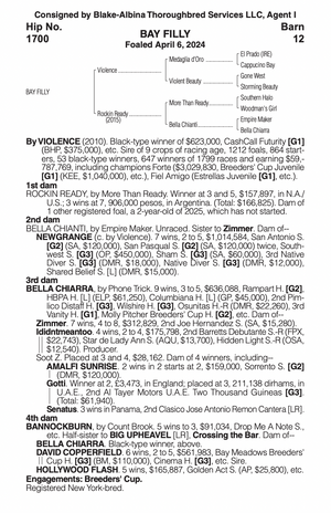 VIOLENCE-ROCKIN READY - YEARLING (NYB)