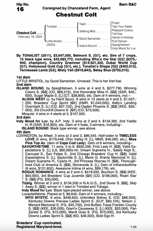 TONALIST-LITTLE BRISTOL - YEARLING