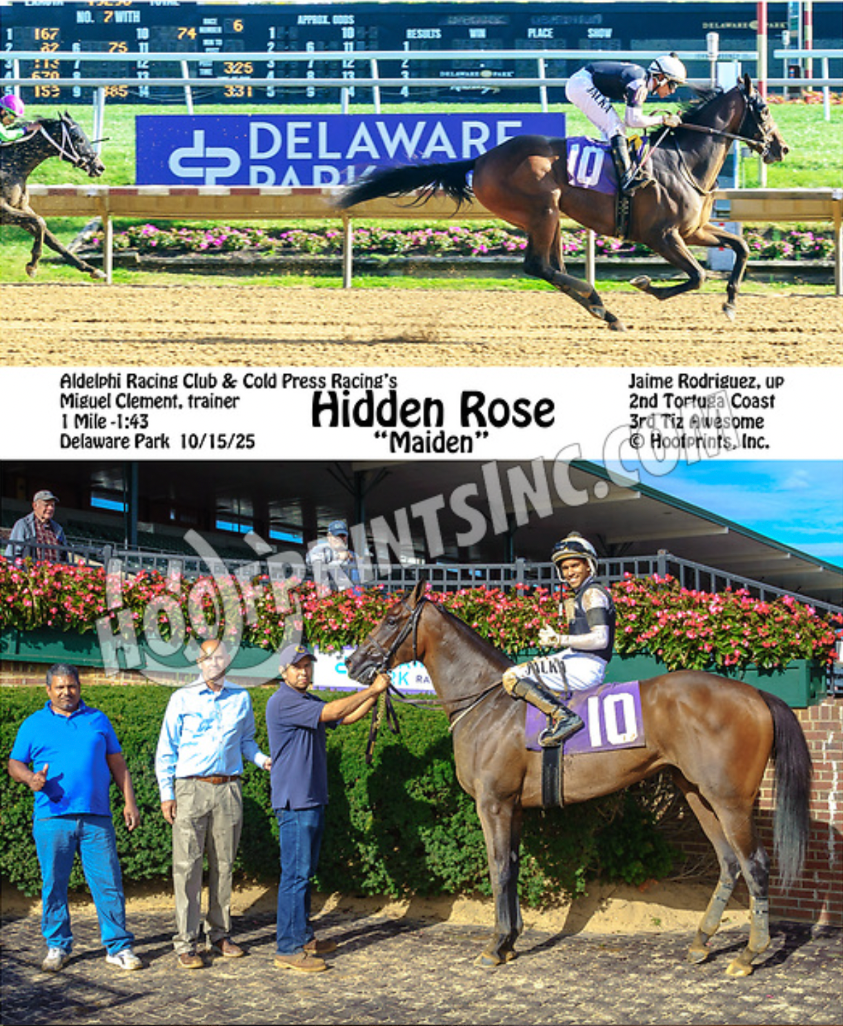 Hidden Rose 10-15-25