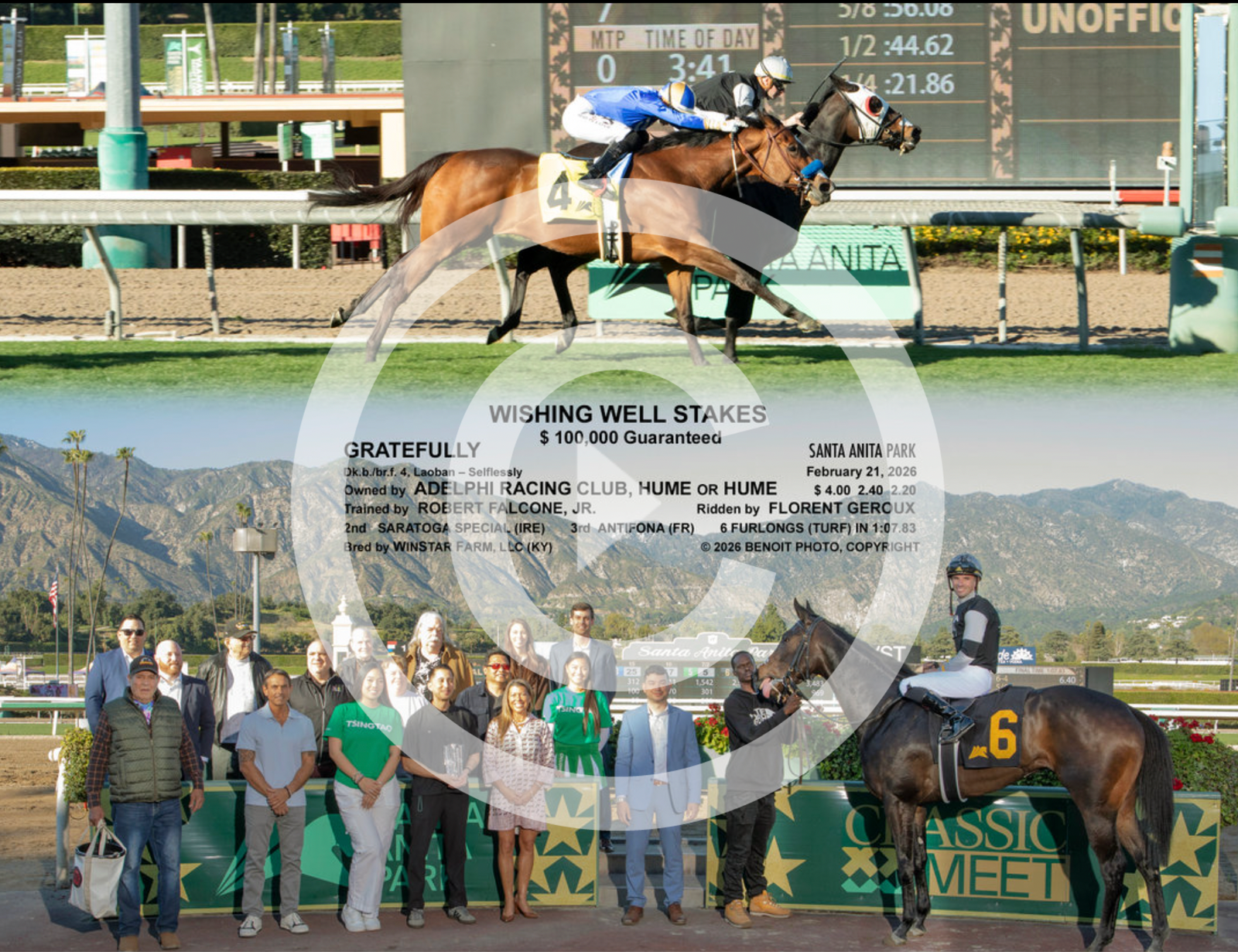 Gratefully 2-21-26 The Wishing Well Stakes