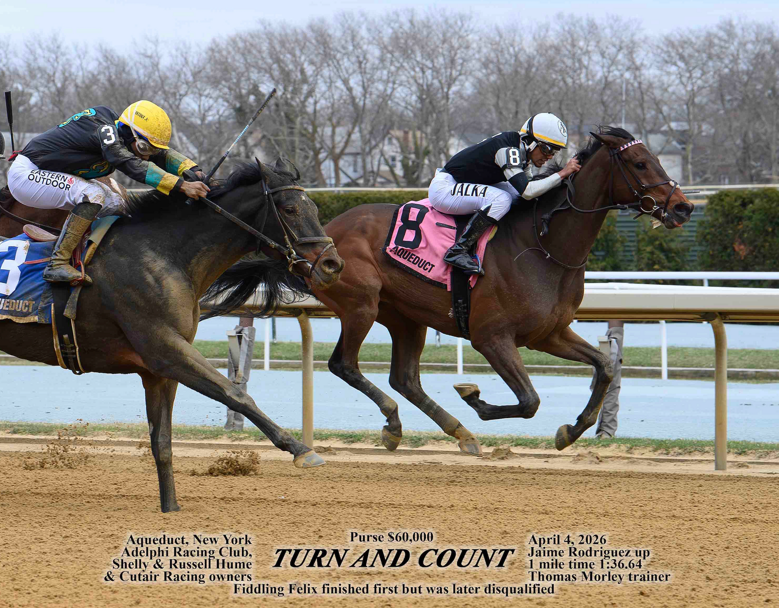 Turn and Count 4-4-26