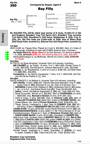 GOLDEN PAL-GUN CLUB (NYB YEARLING FILLY)