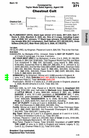 FLAMEAWAY-I'M GLAD (IRE) (NYB YEARLING COLT)