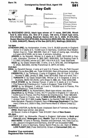 BUCCHERO-ATHENIAN (IRE) (NYB YEARLING COLT)