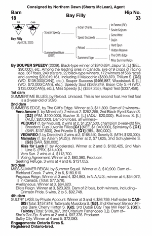 SOUPER SPEEDY-SUMMERTIME BLUES (YEARLING FILLY)