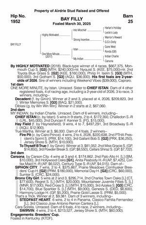 HIGHLY MOTIVATED-ONE MORE MINUTE (YEARLING FILLY)