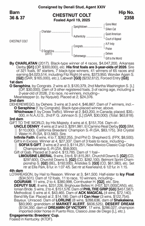 CHARLATAN-O SERAPHINA (YEARLING COLT)