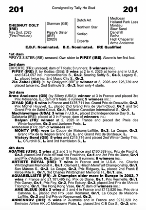 STARMAN (GB)-PIPSY'S SISTER (IRE) (YEARLING COLT)