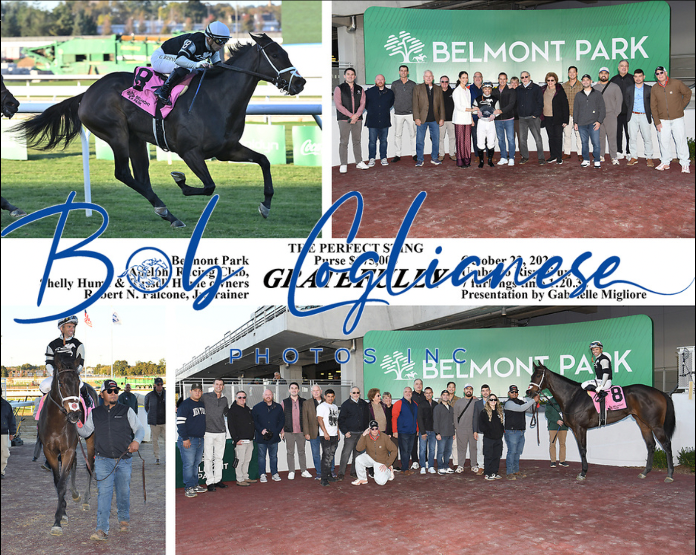 Gratefully (Perfect Sting Stakes) 10-23-26
